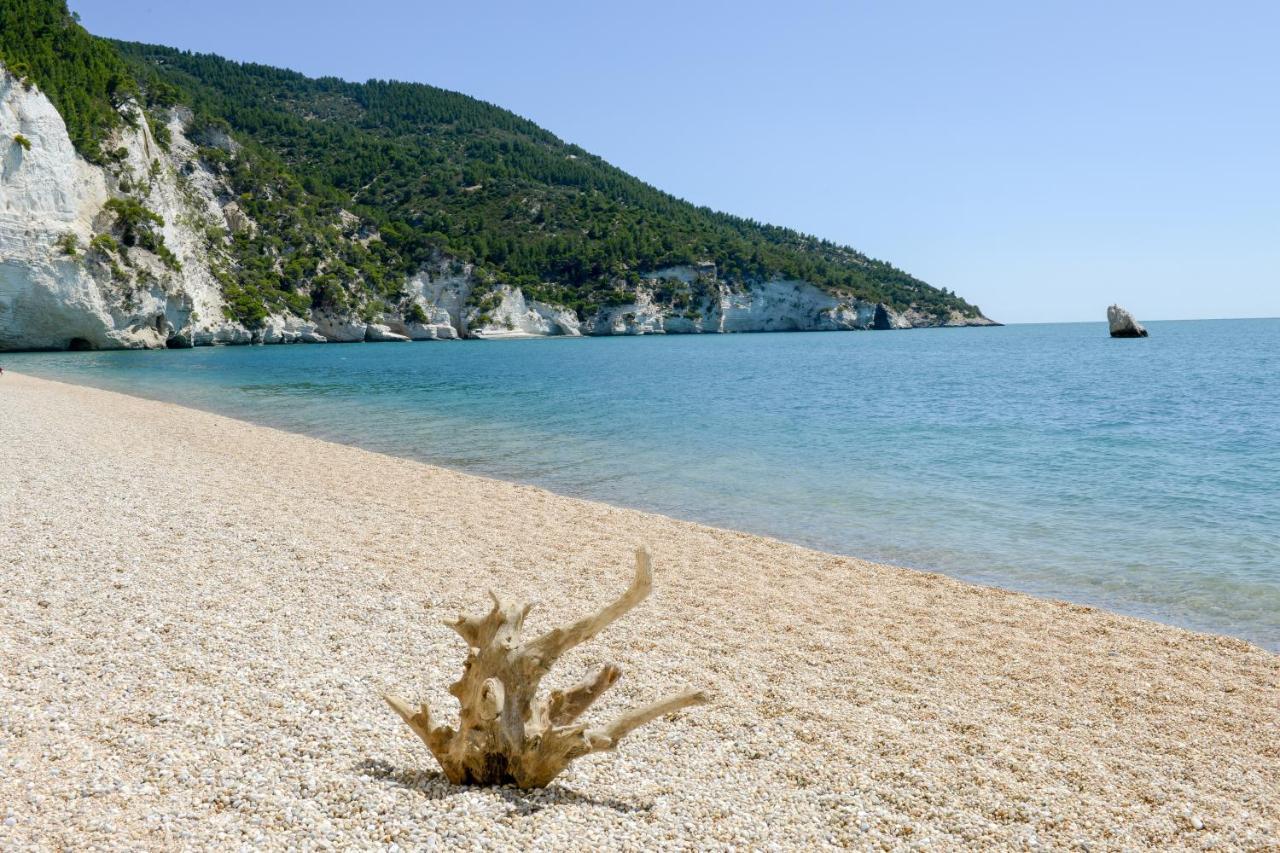 Dimora Storica Fronte Mare Con Terrazzo Privato Villa Torre Canne Buitenkant foto
